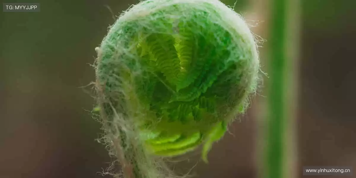 🔥燃爆现场,尖叫不停,下一个传奇就是你!